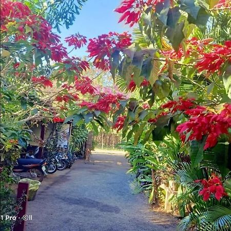 Banlung Tribal Village Homestay & Trekking מראה חיצוני תמונה