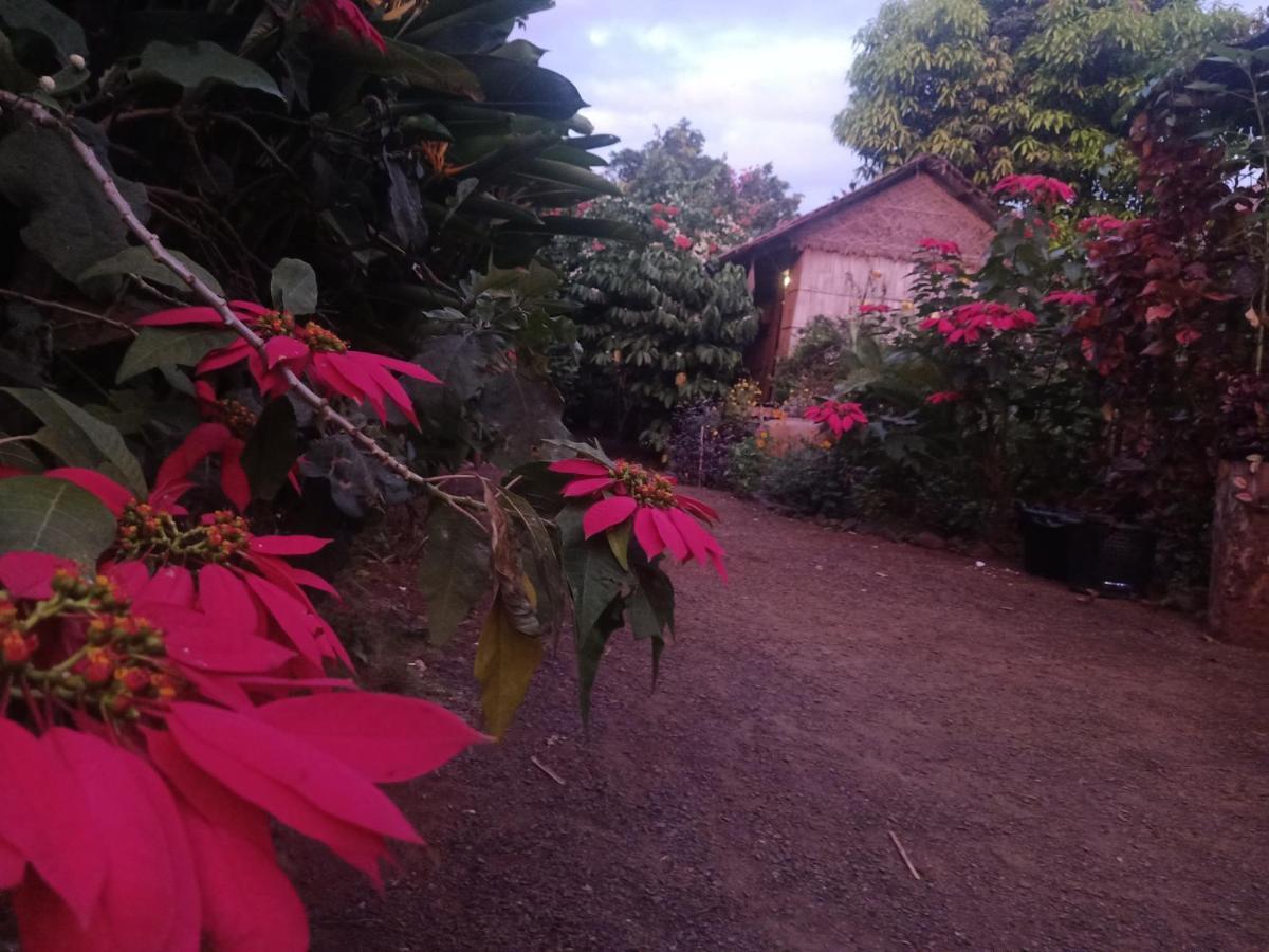 Banlung Tribal Village Homestay & Trekking מראה חיצוני תמונה