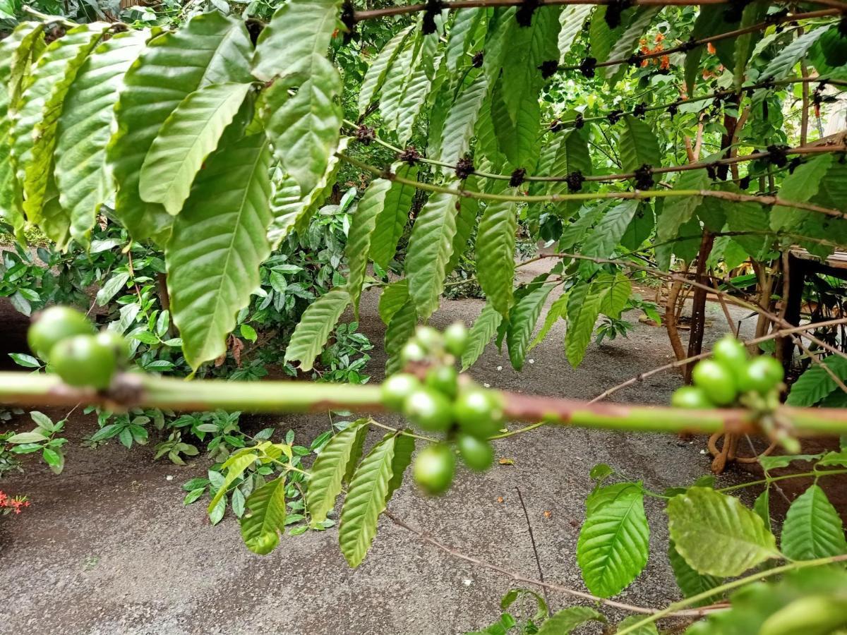 Banlung Tribal Village Homestay & Trekking מראה חיצוני תמונה