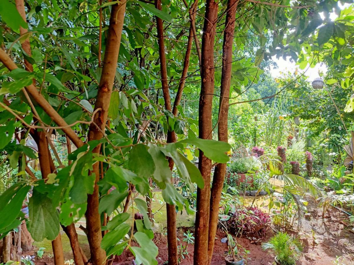 Banlung Tribal Village Homestay & Trekking מראה חיצוני תמונה