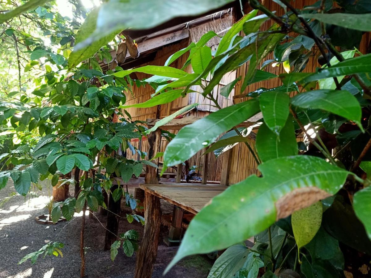 Banlung Tribal Village Homestay & Trekking מראה חיצוני תמונה