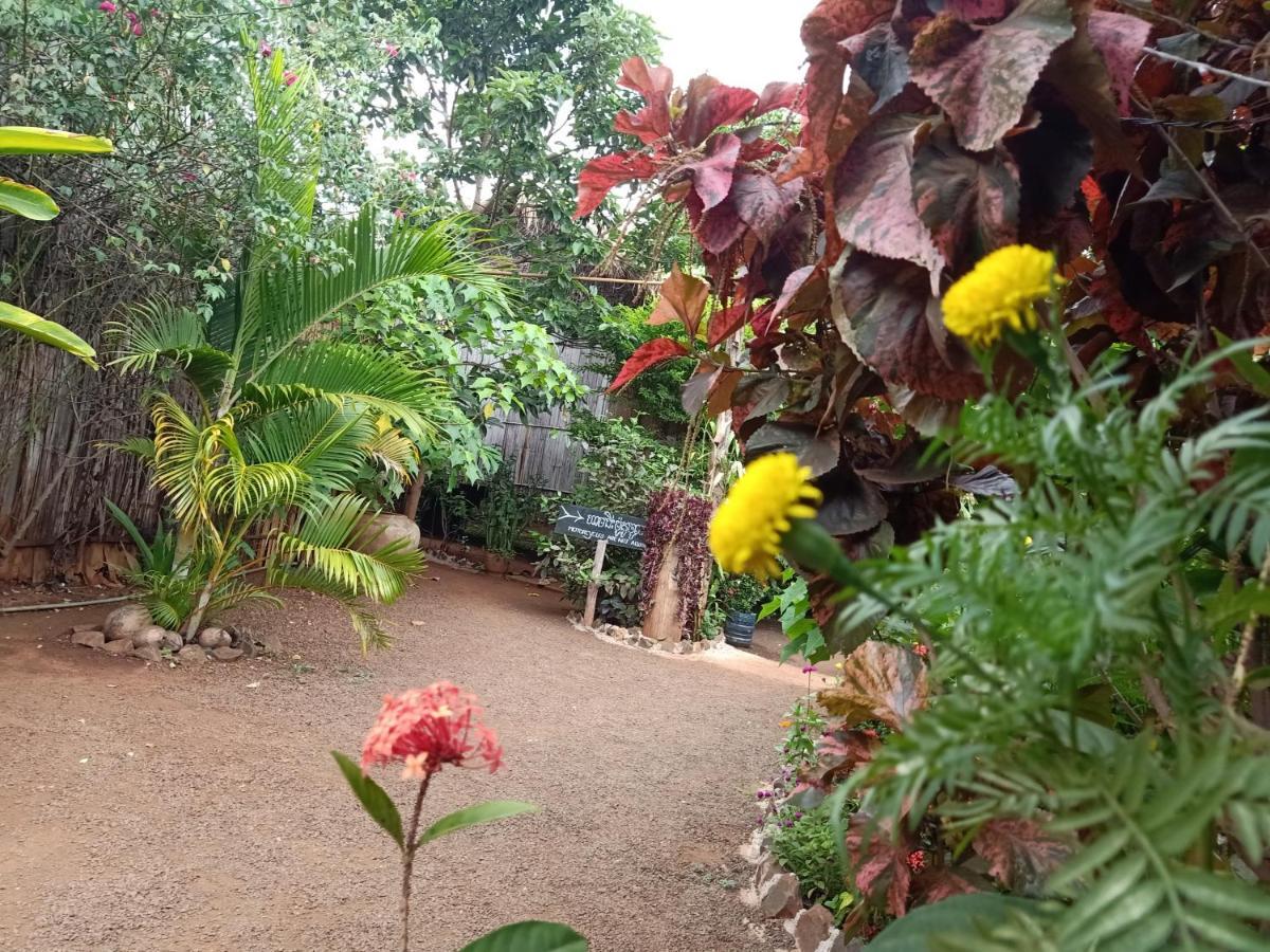 Banlung Tribal Village Homestay & Trekking מראה חיצוני תמונה