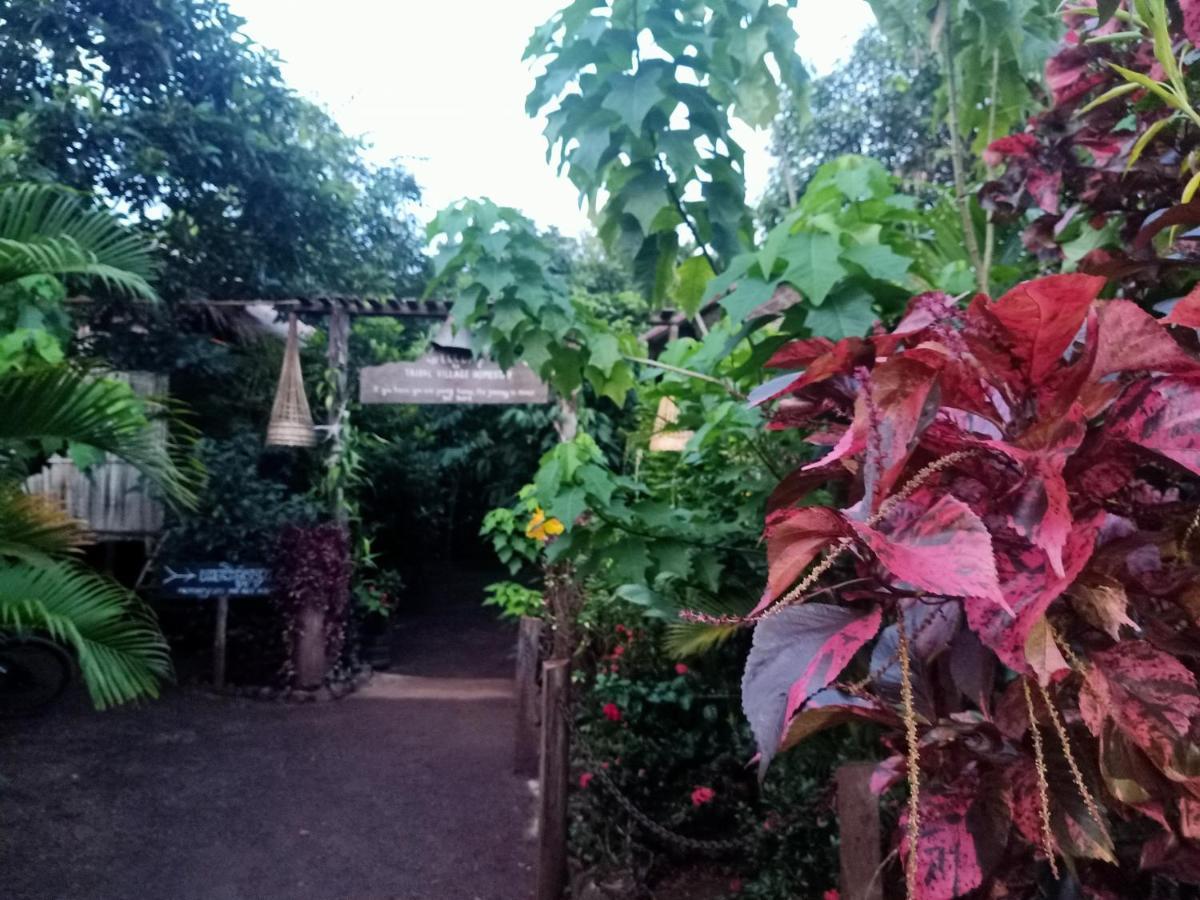 Banlung Tribal Village Homestay & Trekking מראה חיצוני תמונה