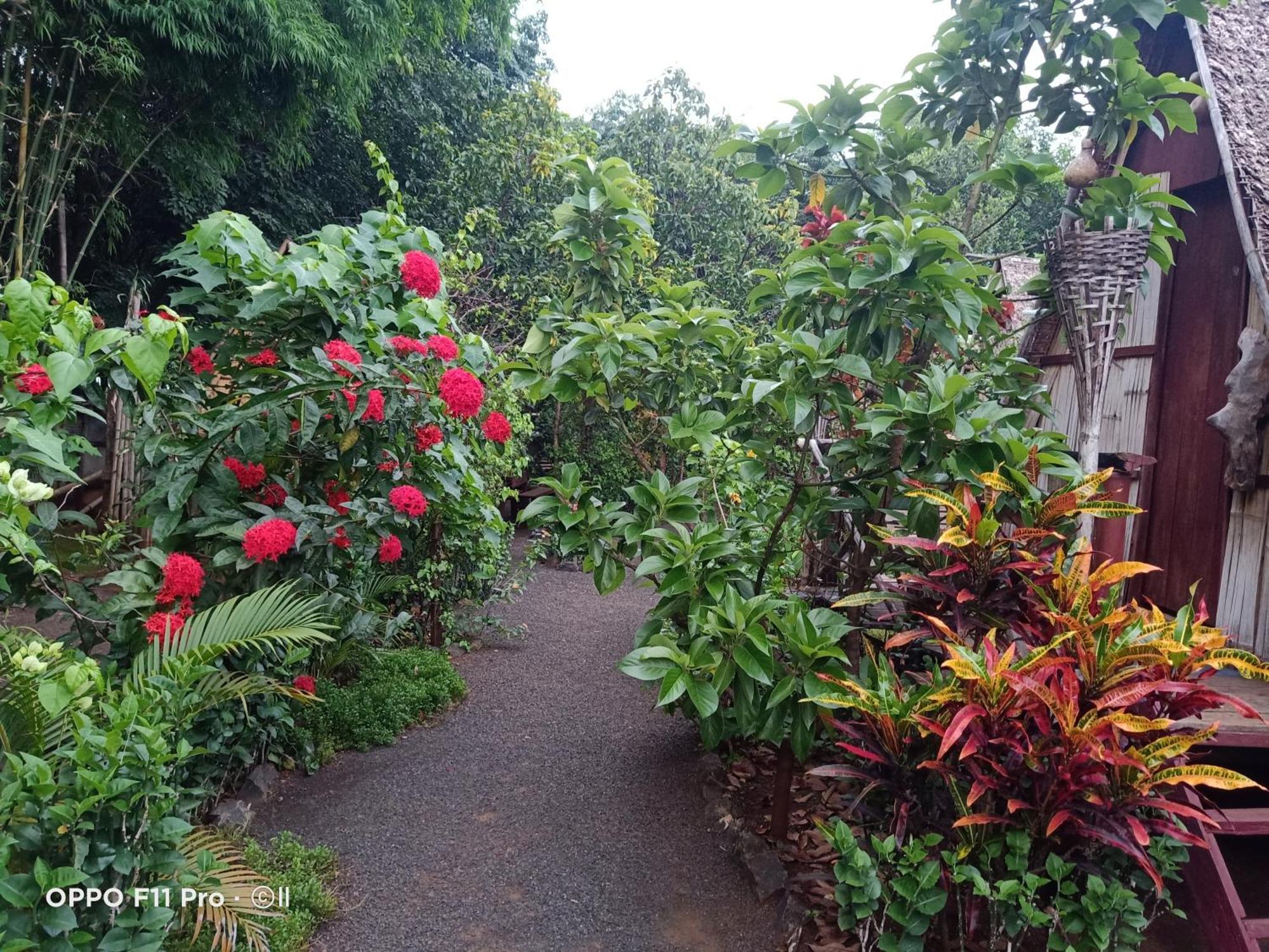 Banlung Tribal Village Homestay & Trekking מראה חיצוני תמונה